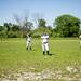 Saline girls softball warm up before the game against Monroe on Monday, June 3. Daniel Brenner I AnnArbor.com